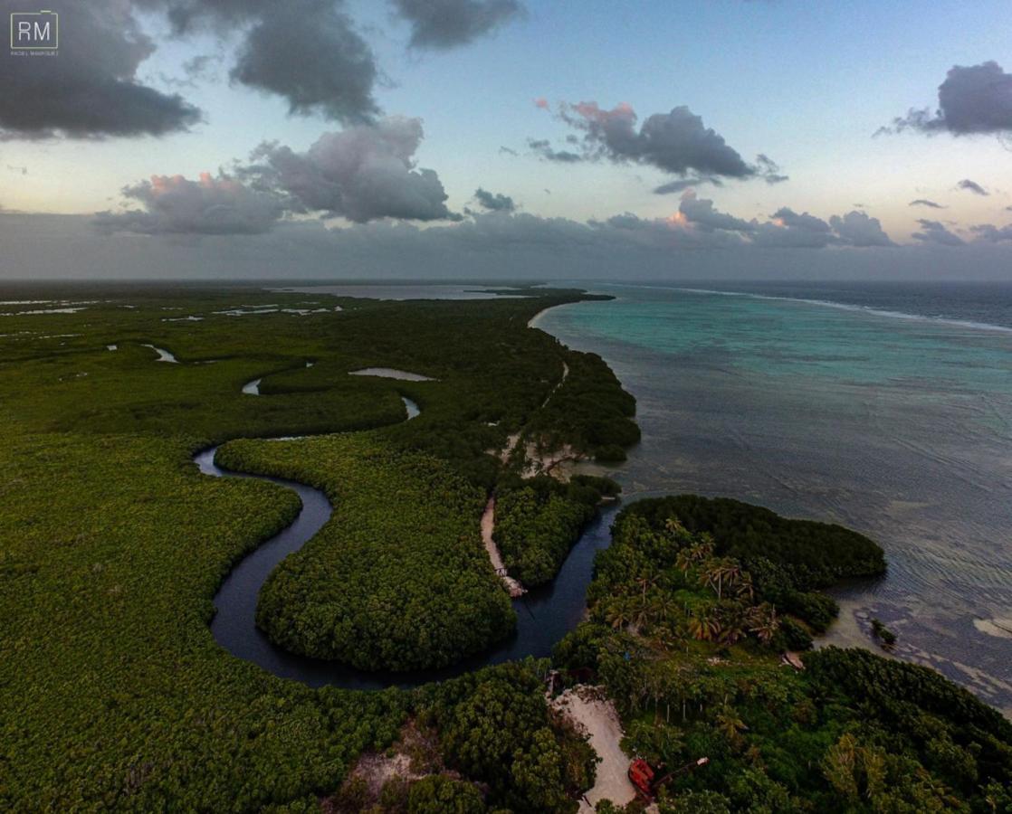 Caribbean Casa Blanca Apartment Xcalak Luaran gambar